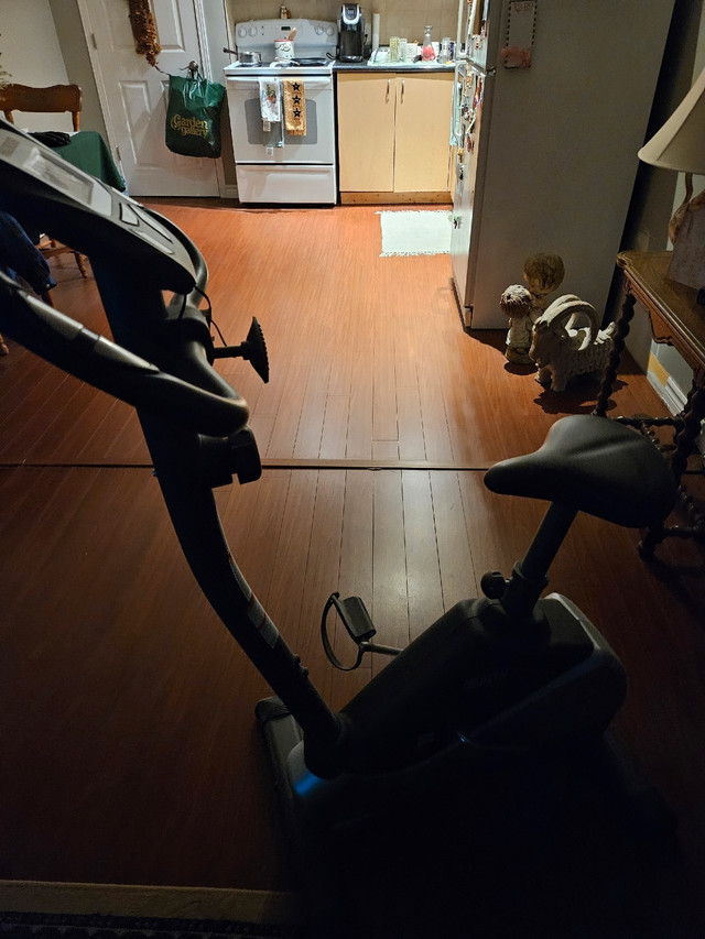 indoor bicycle  in Other in Kawartha Lakes