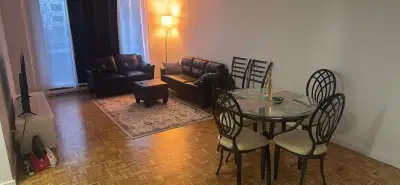 Une chambre à louer dans un appartement de deux chambres, salon, salle de bain et cuisine. Tout est...