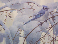 ROBERT BATEMAN - SNOWY MORNING - BLUE JAY
