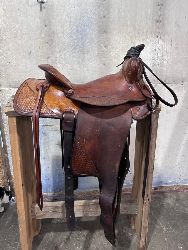 15 inch Roping saddle  in Equestrian & Livestock Accessories in Prince Albert