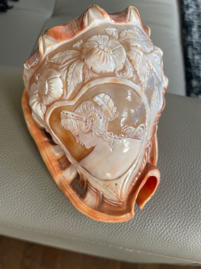 VINTAGE CONCH, View more