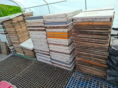 Matériel de ruche d’abeilles Matériel apicole, apiculture Divers modèles tous pour ruche Langstroth....