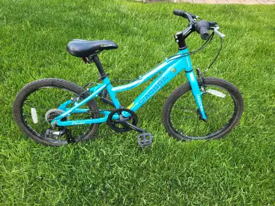 Vélo Diadora pour enfants avec des roues de 20 pouces de 6 vitesse. Ce vélo est en bon état et prêt...