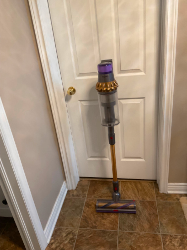 Dyson SV29 Outsize Abs US/CA/MX SGd/Ir/Gd in Vacuums in Cole Harbour