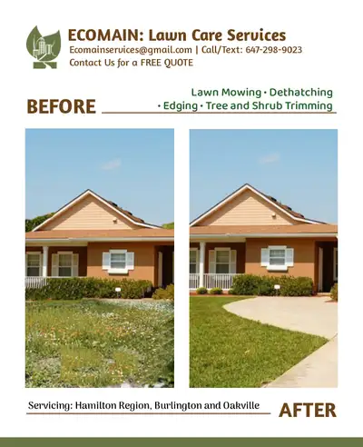 AFFORDABLE LAWN CARE Services We offer a simple and affordable lawn care service Mowing Detaching Ed...