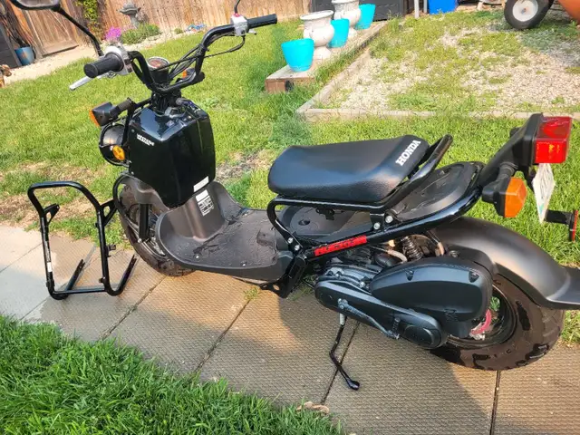 2020 Honda Ruckus Stock in Scooters & Pocket Bikes in Winnipeg - Image 4
