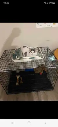 Wanted dog cage 