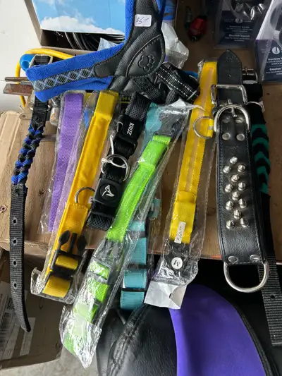 New pet Collars, View more