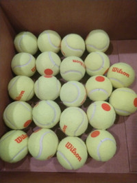24 Beginner/orange Wilson tennis balls 