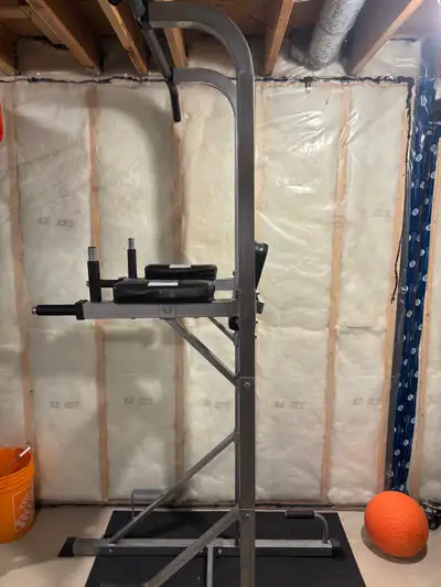 pull up/dip/leg raise , View more