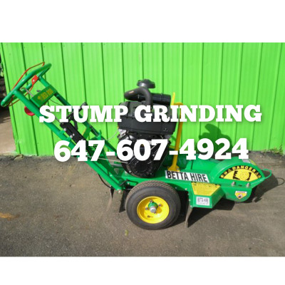 647-607-4924 TREE REMOVAL AND STUMP GRINDING AFFORDABLE.