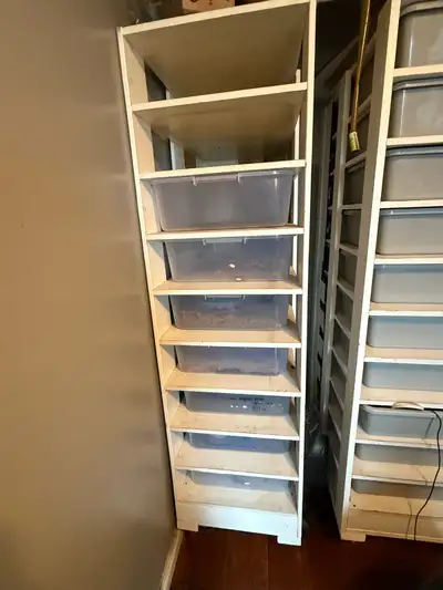 9 Bin capacity Adult Ball Python Snake Rack, View more