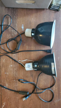 Reptile Heat Lamp (1 left)