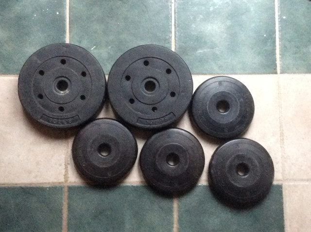 40lb Weight Plate in Exercise Equipment in Oshawa / Durham Region