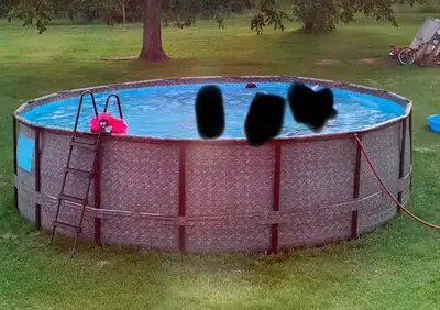 We’ve had this pool for 2 years and it’s still in great condition the pump still works great! It’s 4...