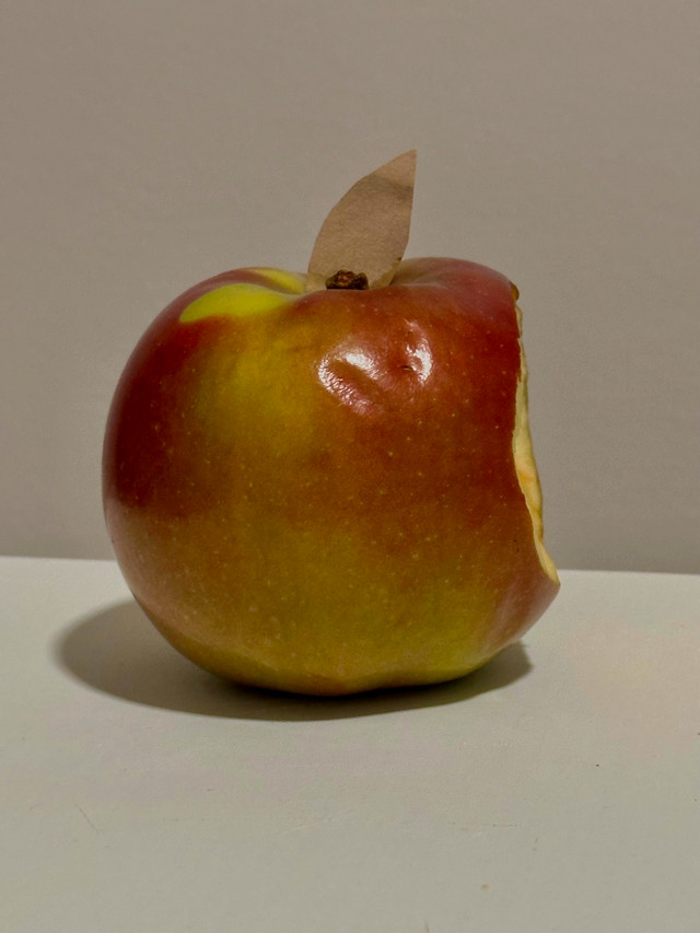 Vends Apple dans Autre  à Rimouski / Bas-St-Laurent - Image 2