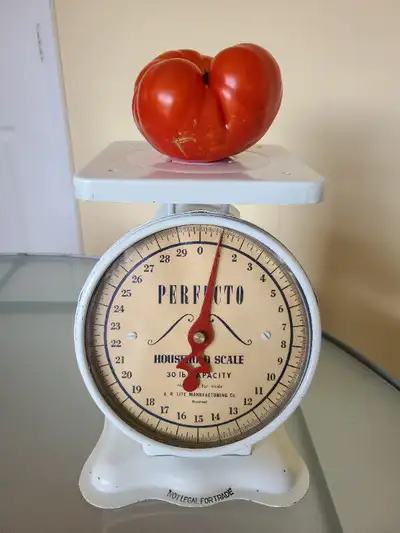Vintage Perfecto Scale, View more