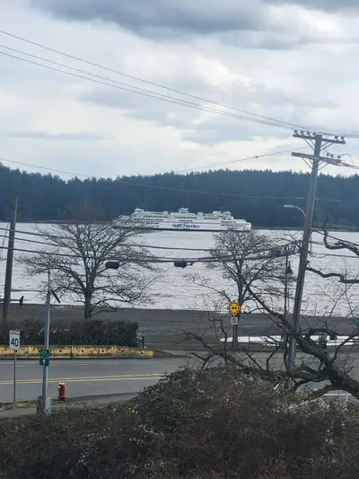 3beds 2baths walk out basement unit with incredible ocean view in departure Bay Rd. 1 min walk to de...