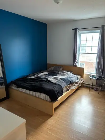 chambre à louer