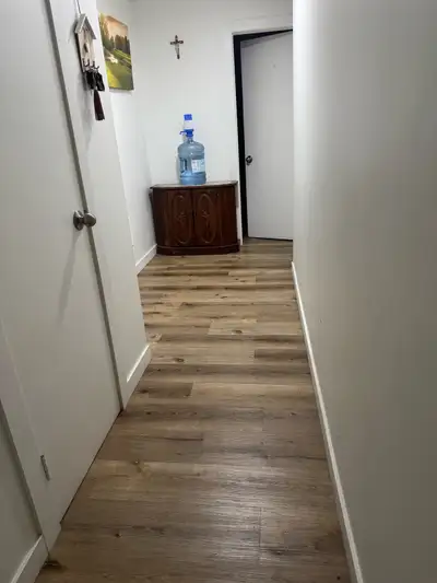 cesión de bail