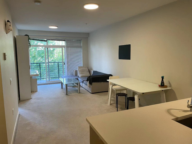 2 Bedroom 2 Bathroom Apartment For Rent in Short Term Rentals in UBC - Image 4