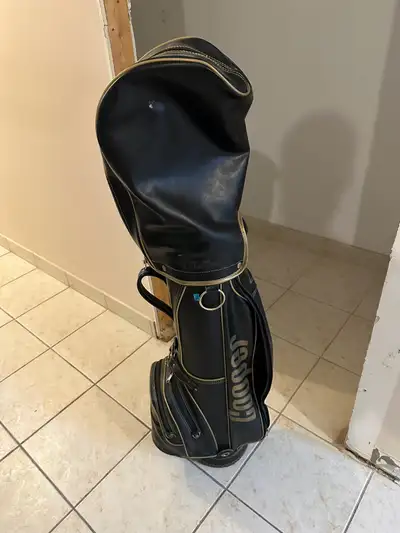 Golf bag - comes with 3 clubs !