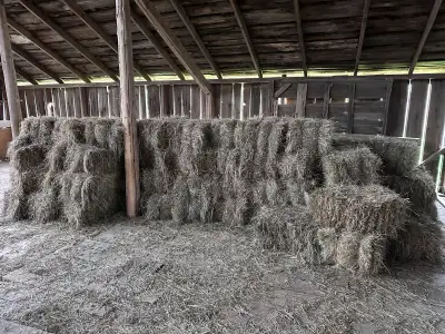 Small square hay bales, View more