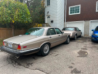 Jaguar. Xj12 1986. Classic. Historic Plates. Mint. Golden. Runs.