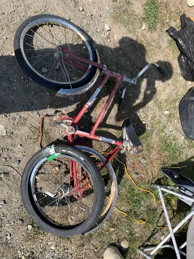 20 Inch Bicycle, View more