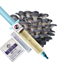 Blue Oyster mushroom Liquid Culture Syringe -10ml & 60ml