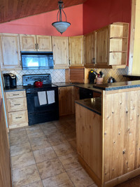 Kitchen Craft Cabinets can include all Appliances