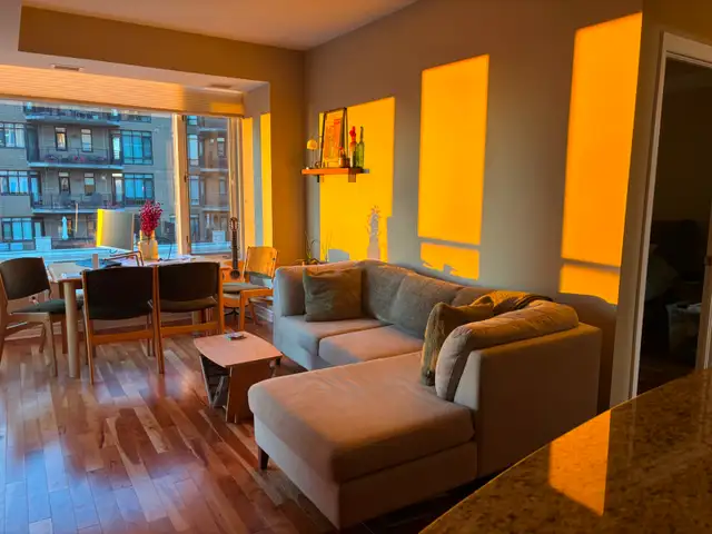 Bright 1-Bed 1-Bath in Westboro (Lease Takeover)