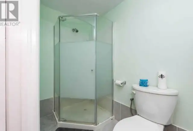 Studio basement near Bramalea city center & GO station- Fleetwoo in Room Rentals & Roommates in Mississauga / Peel Region - Image 5