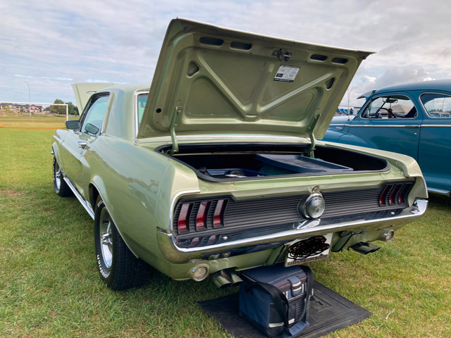 1967 MUSTANG GTA COUPE in Classic Cars in Red Deer