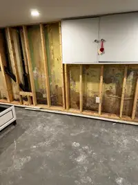 Mould - Mold, Water,Fire Deconstruction Remediation 