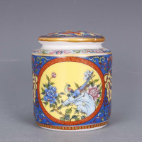 A rare beautiful Chinese enamel porcelain jar