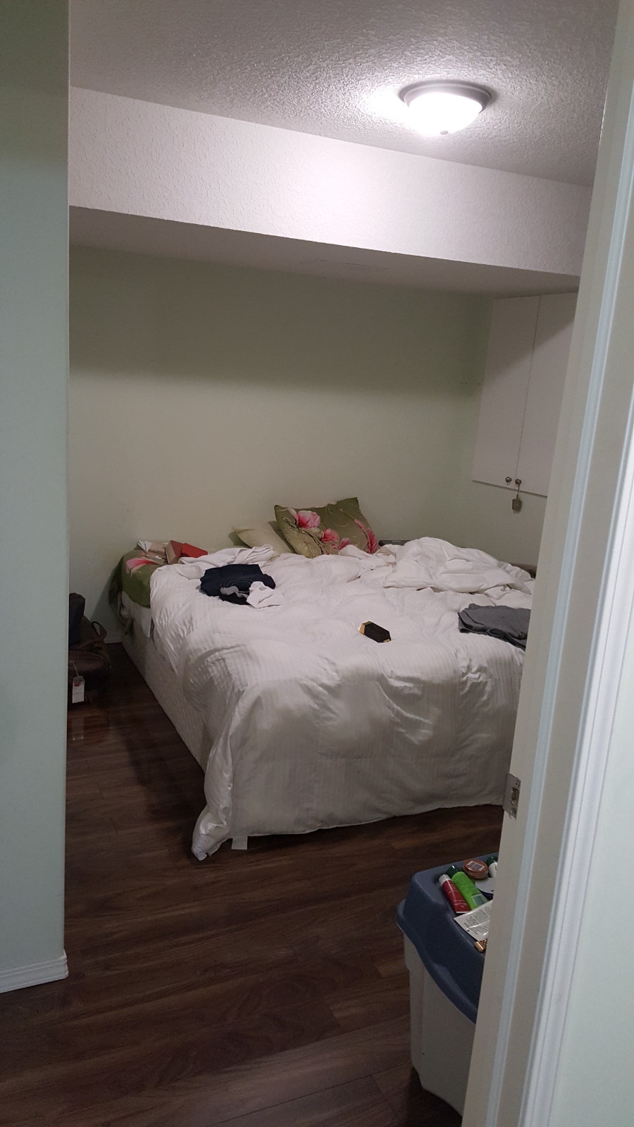 SEPARATE ENTRY BASEMENT: Free WiFi LAUNDRY, UTILITIES SADDLETOWN 4