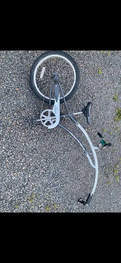 Tag a long bike. Trail a bike In good shape $90 obo