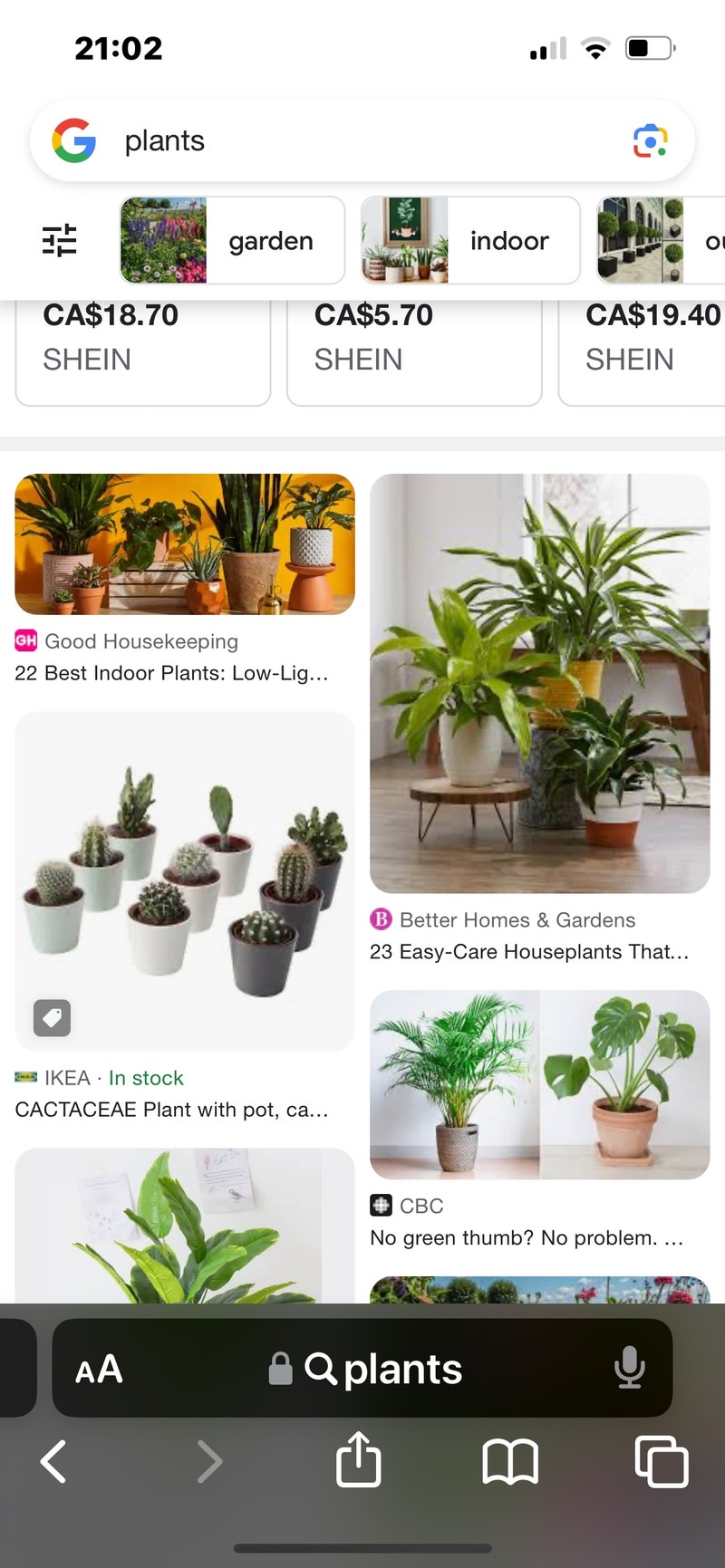 Looking for plants for my classroom! Free Stuff Saskatoon Kijiji