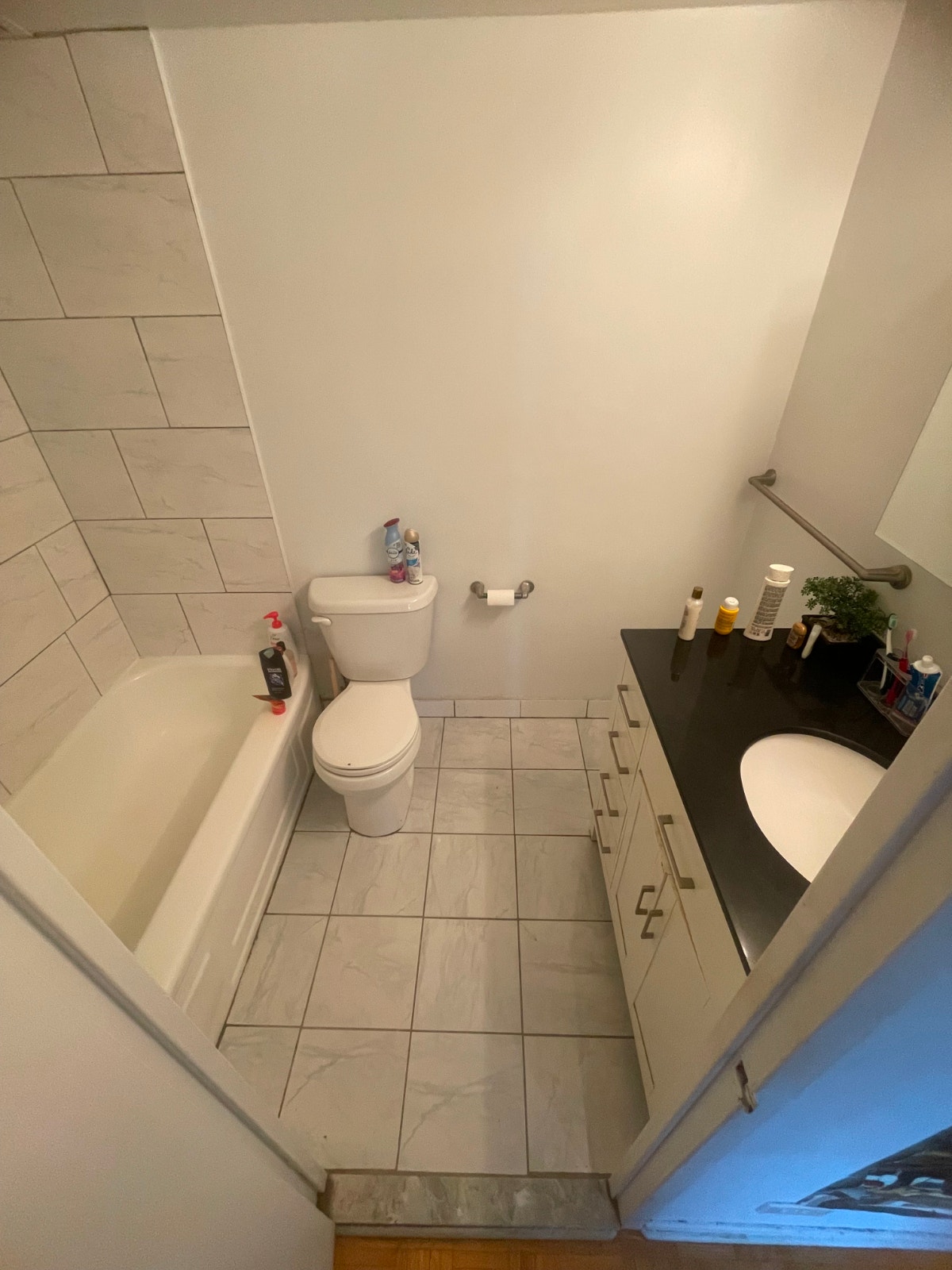 Large 1-bedroom for lease transfer (Downtown) — photo 2