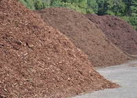 Mulch /Woodchips  For Sale