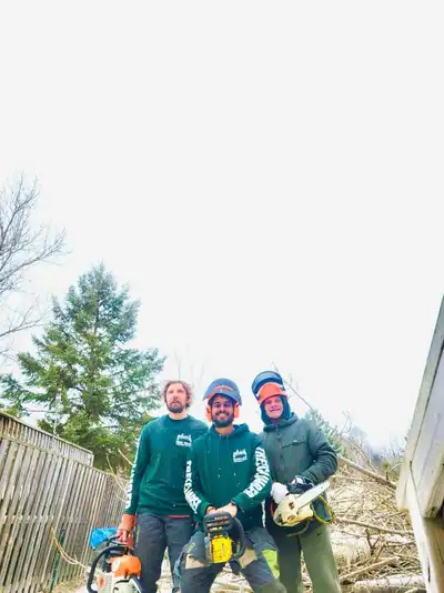 Tree service , View more