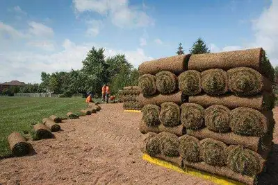 Sod Delivery $7 Per Roll & Installation $2 Per Sq Ft, View more