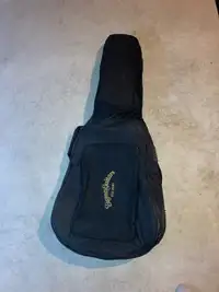 Guitar case