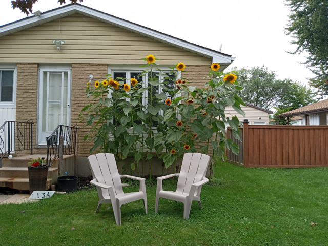 For rent in Room Rentals & Roommates in Sarnia