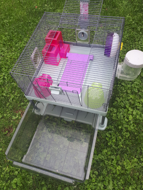 ***hamster cage**** in Small Animals for Rehoming in Windsor Region - Image 3