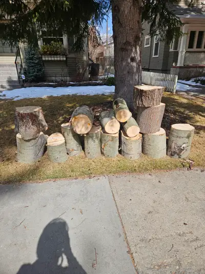 Free firewood, View more