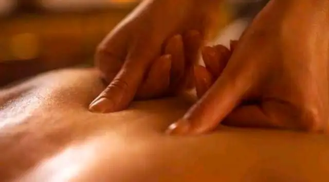 MASSAGE,CALIFORNIAN,SWE,LOMiLOMi,REIKISHIATSU,SOMATIC S COACHING in Massage Services in Richmond - Image 6