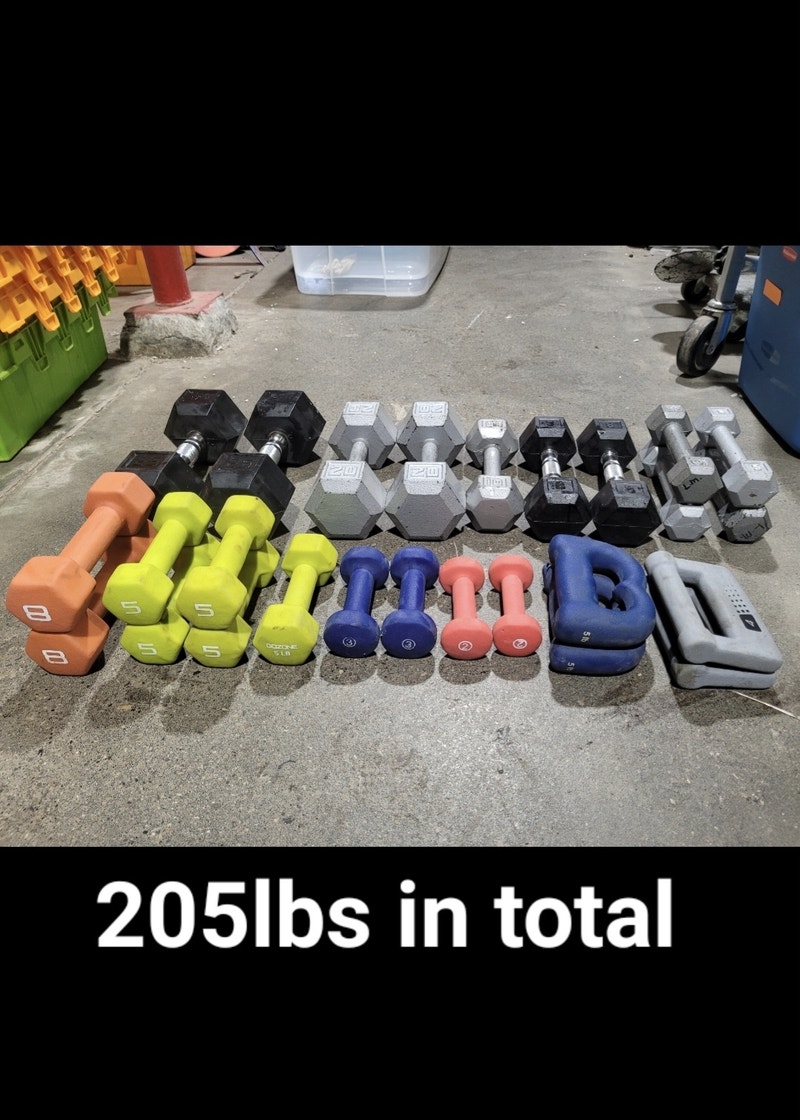 205lbs Worth Of Dumbbells LOTS Available! Exercise Equipment Calgary Kijiji