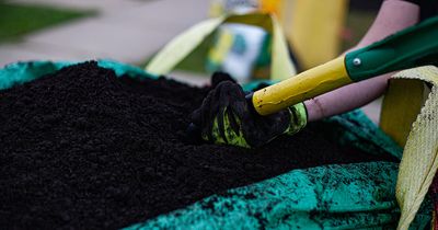 WE ARE A BULK SUPPLIER Key Benefits of Topdressing Loam: Improves Soil Quality: Fixes sandy or clay-...